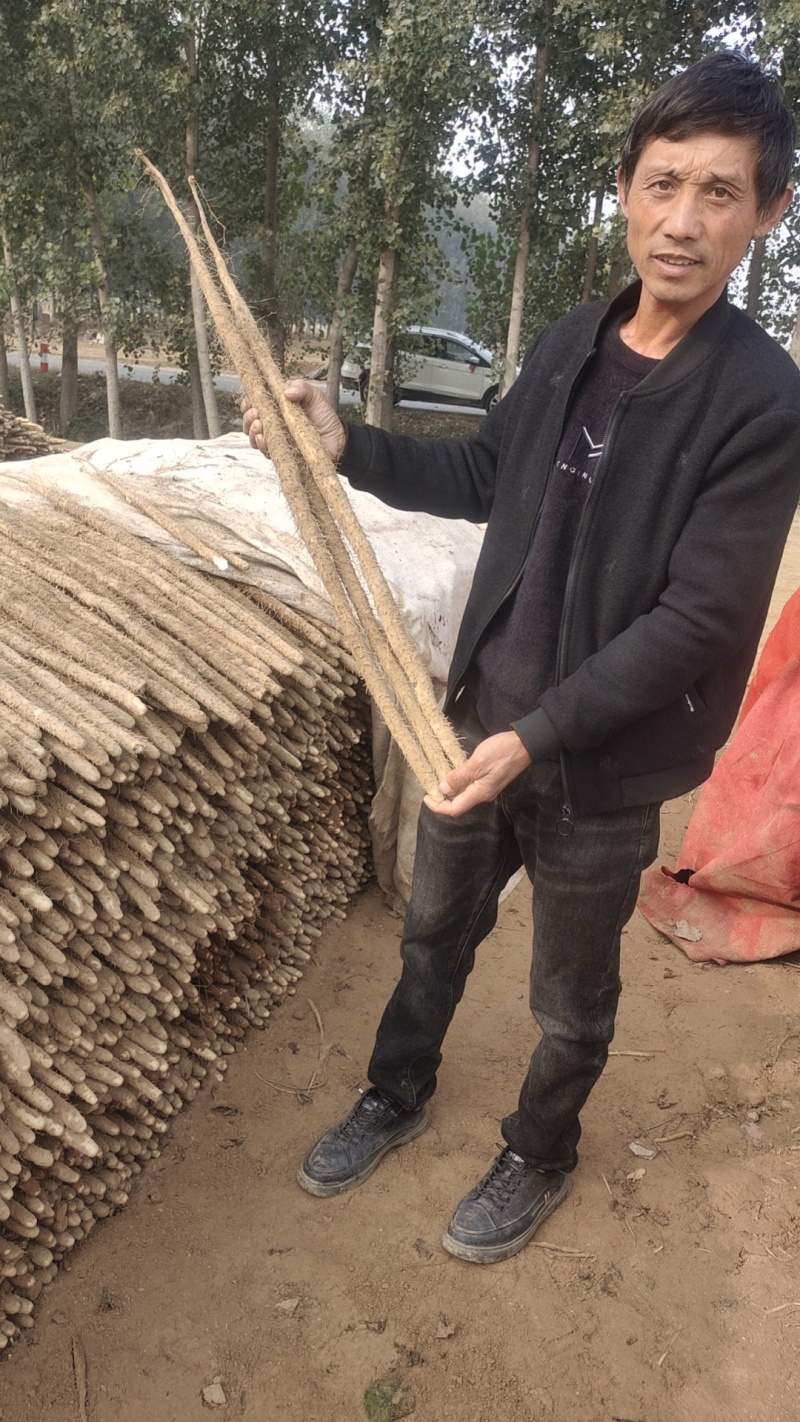 小白嘴大货质量好，价位不高产地直发货，有要的老板电话联系