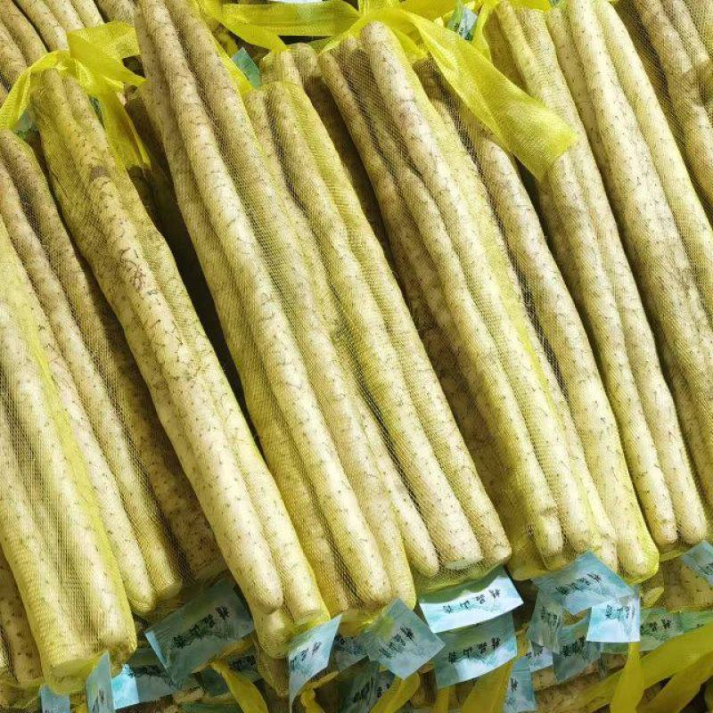小白嘴白山药特级精装网袋对接全国电商商超