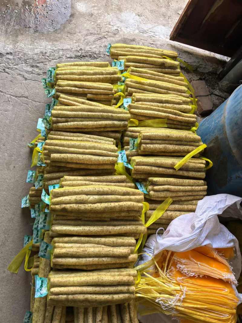 小白嘴白山药特级精装网袋对接全国电商商超