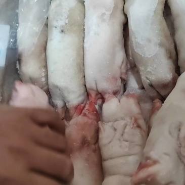 去筋黑猪蹄
