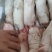 去筋黑猪蹄