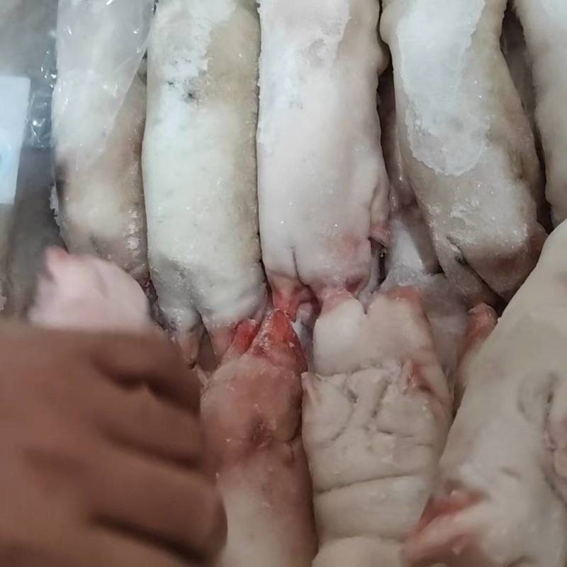 去筋黑猪蹄