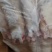 去筋黑猪蹄