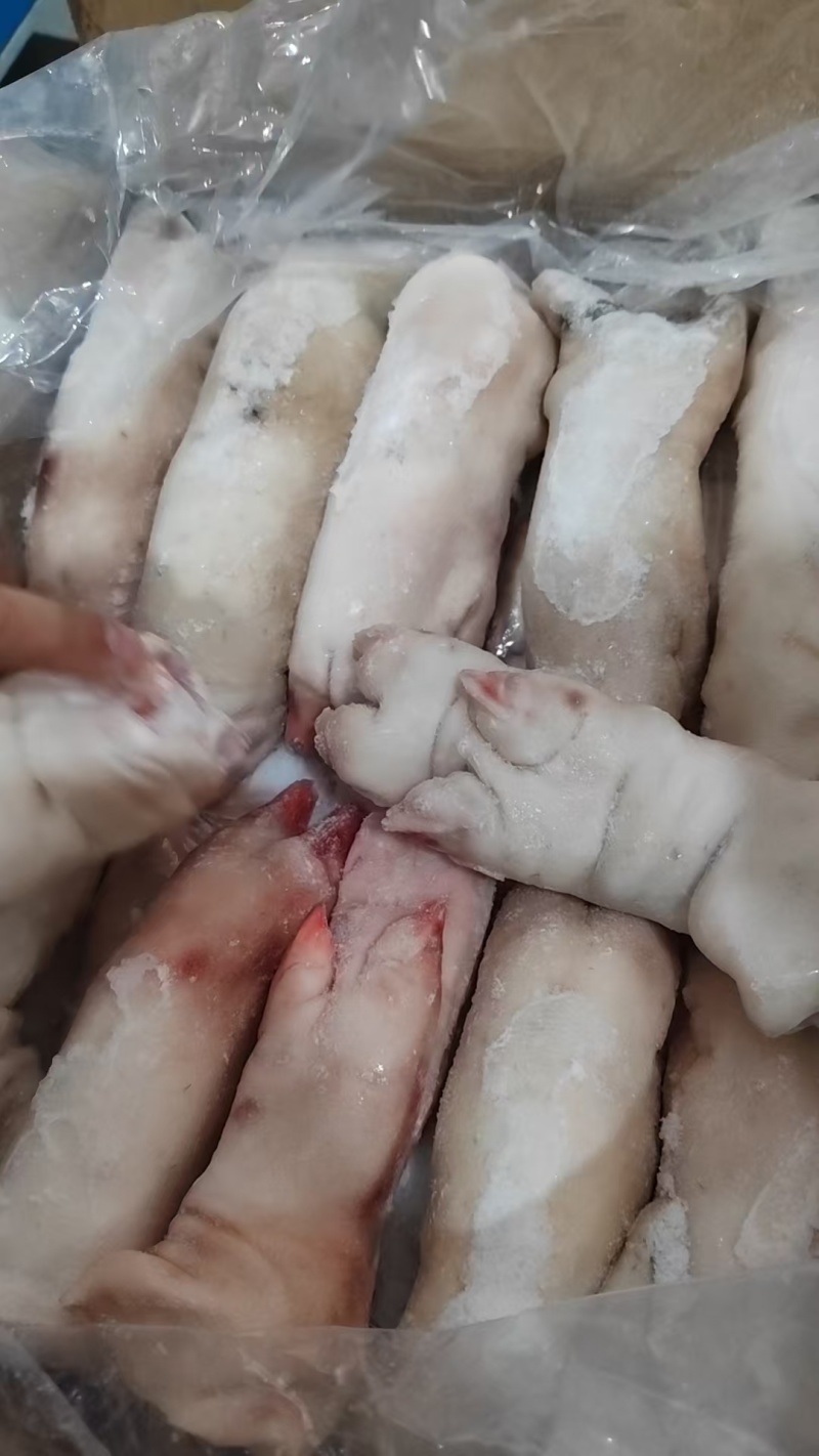 去筋黑猪蹄