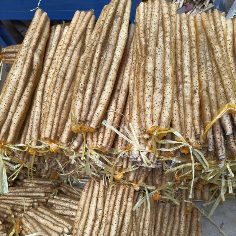 小白嘴白山药粗细均匀40厘米以上对接全国电商商超