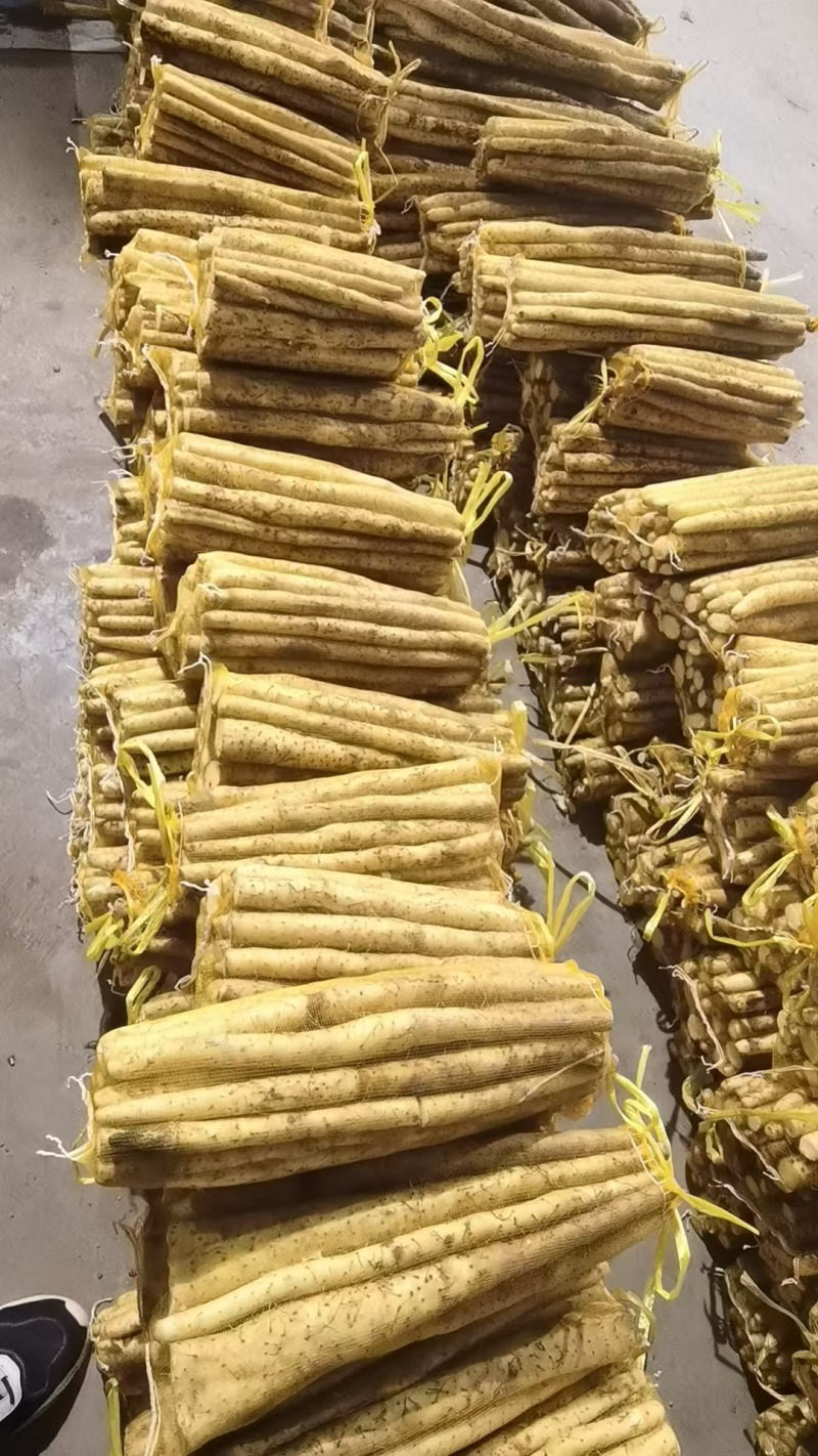 小白嘴白山药粗细均匀40厘米以上对接全国电商商超