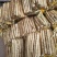 小白嘴白山药粗细均匀40厘米以上对接全国电商商超
