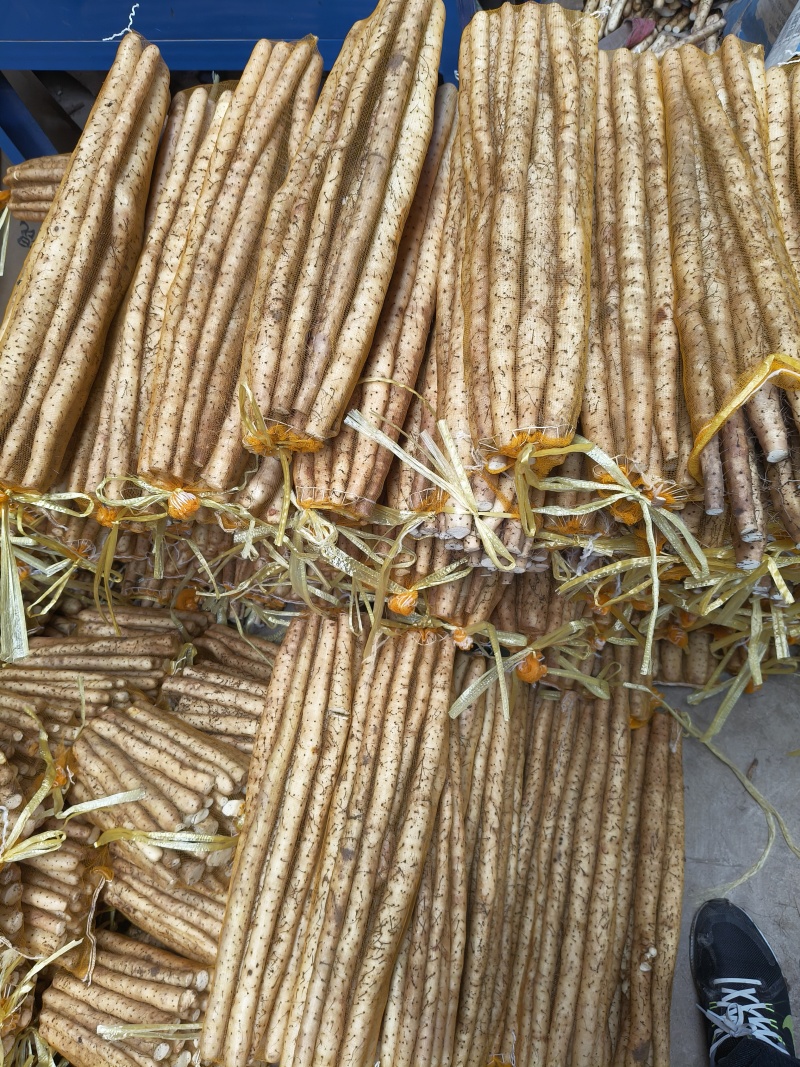 小白嘴白山药粗细均匀40厘米以上对接全国电商商超