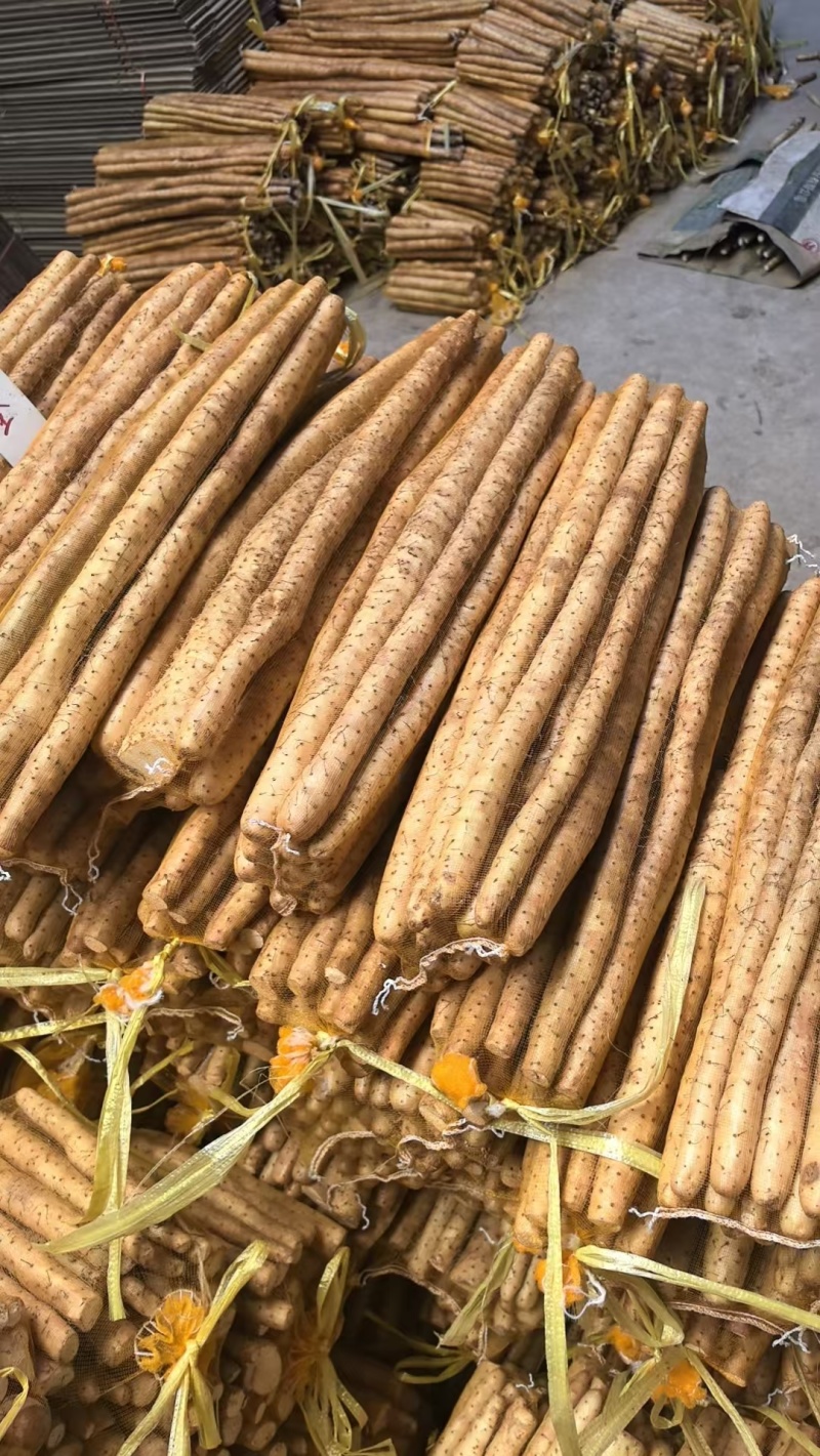 小白嘴白山药粗细均匀40厘米以上对接全国电商商超