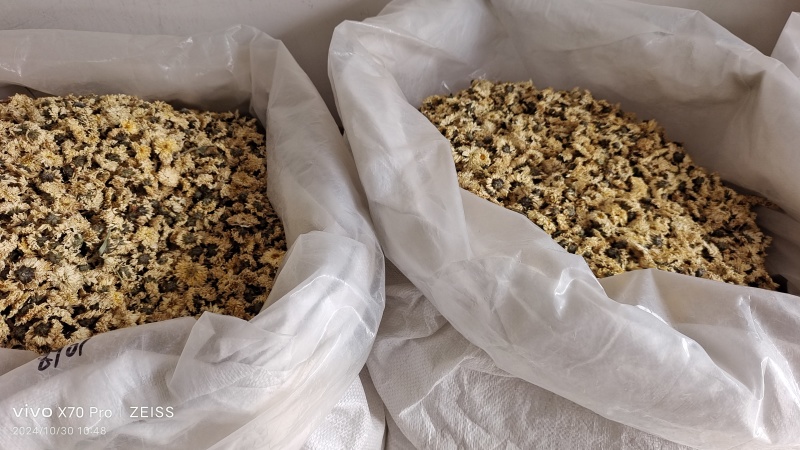 菊花药用菊花无硫干货2斤起包邮