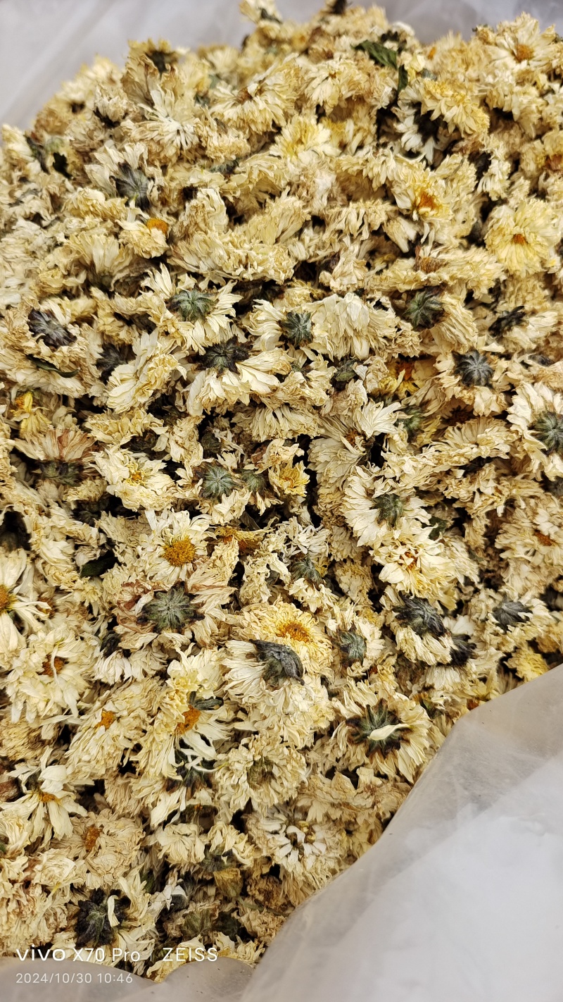 菊花药用菊花无硫干货2斤起包邮