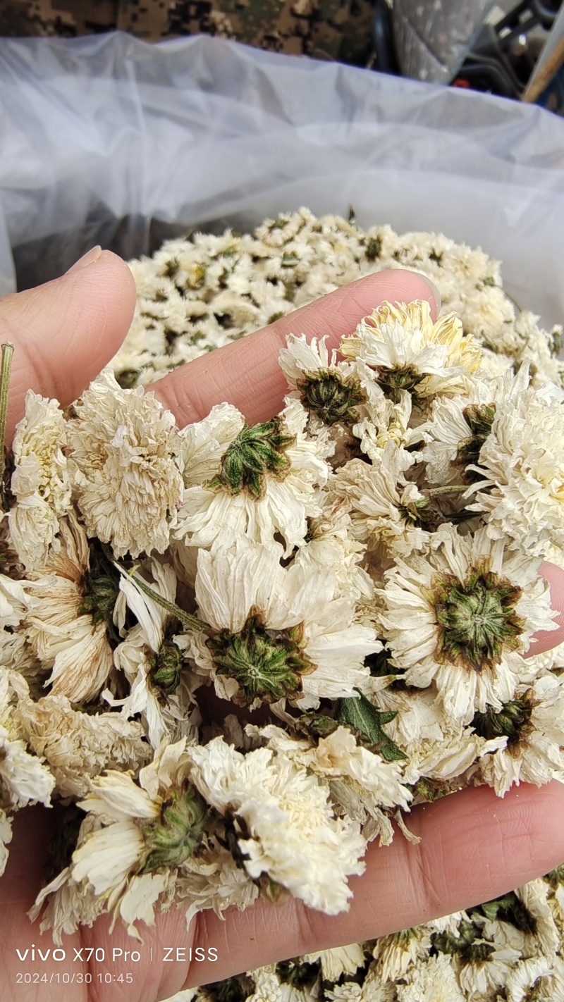 菊花药用菊花无硫干货2斤起包邮