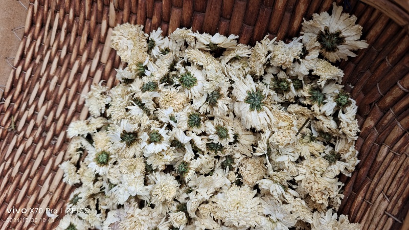 菊花药用菊花无硫干货2斤起包邮