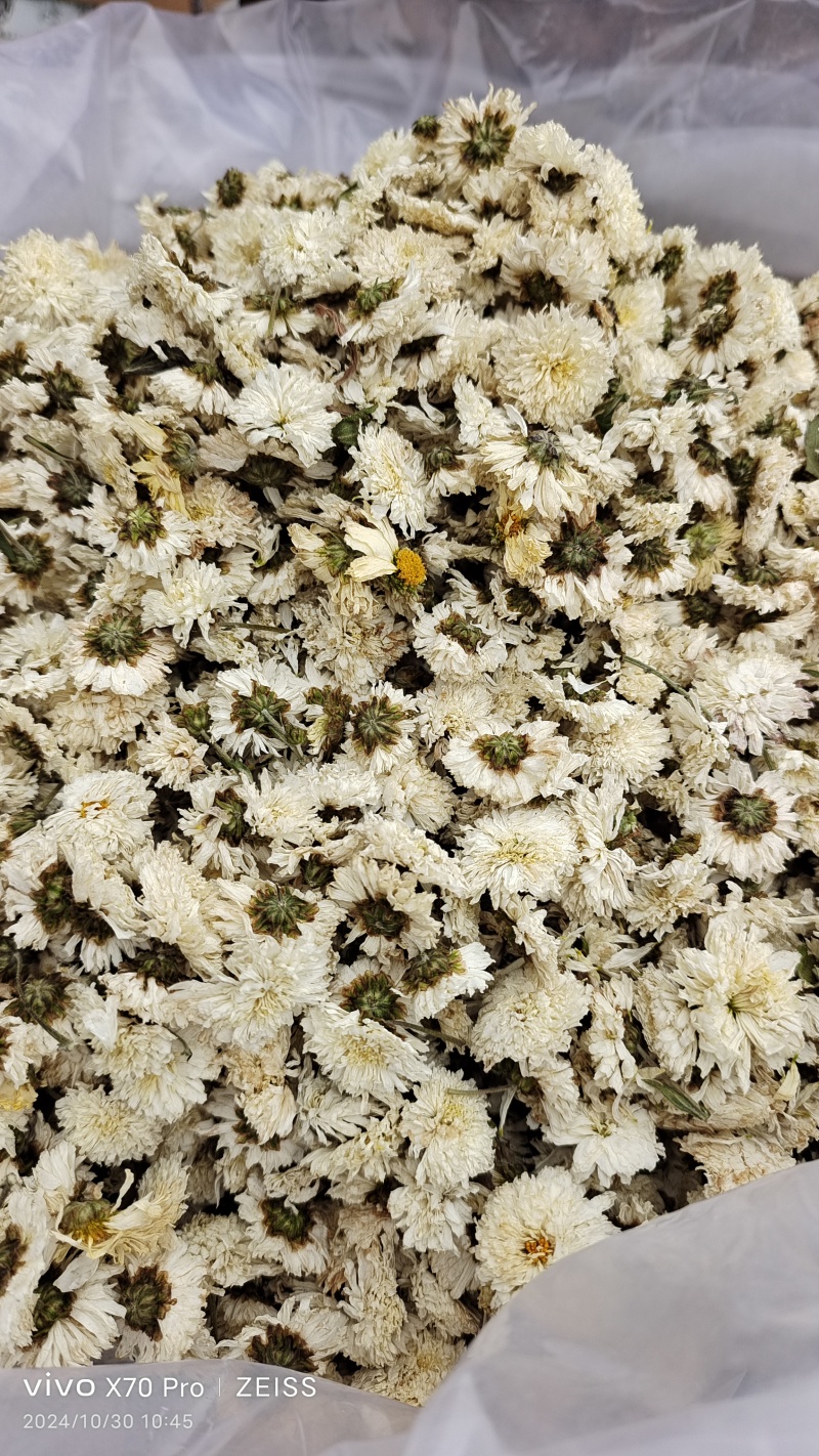 菊花药用菊花无硫干货2斤起包邮