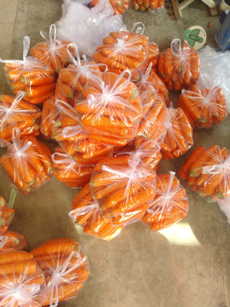 萧县三红胡萝卜，精品中条，小条，大头，口感好，味道正，