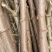 广西正宗华南9号黄肉木薯种苗黄心木薯苗