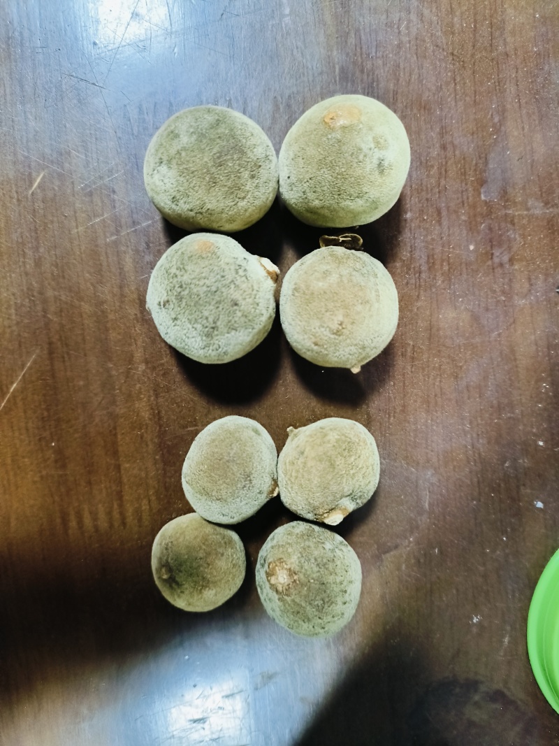 正宗化橘红幼果，规格2.0至3.0，化州源头产品，源产地