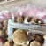 正宗化橘红幼果，规格2.0至3.0，化州源头产品，源产地