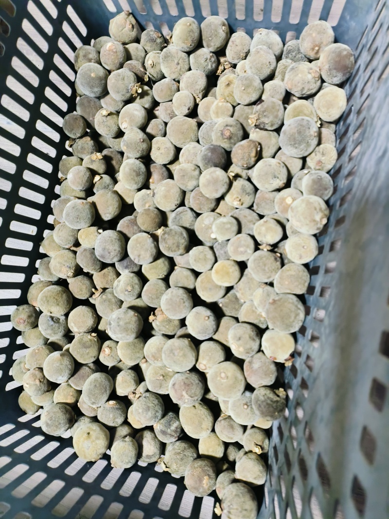 正宗化橘红幼果，规格2.0至3.0，化州源头产品，源产地