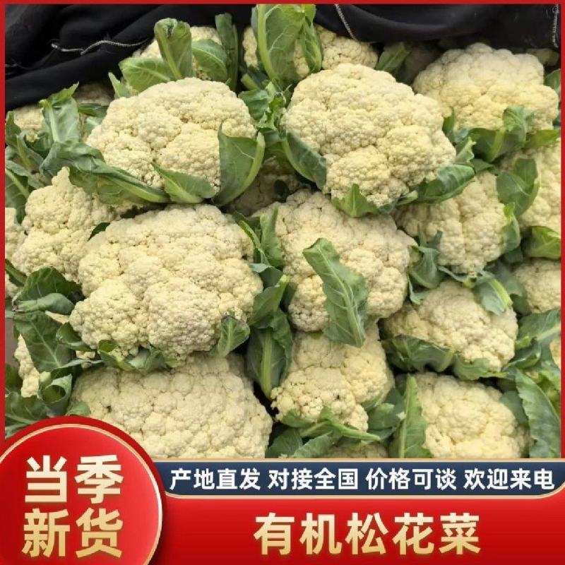 河南开封通许松花菜青梗白面，小米粒支持商超电商，社区团购