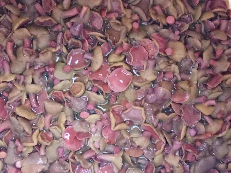 红乳牛肝菌批发低价直批90斤/件质量保证