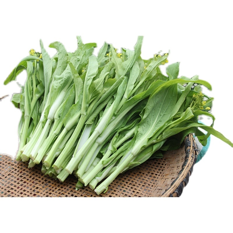 湖北菜台白菜苔产地看货论价保质保量欢迎订购