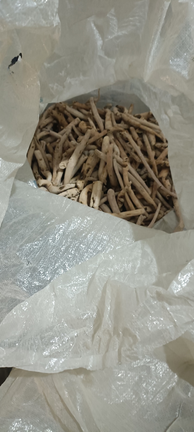 亳州白芷片，通装，选装预定精品白芷照片实拍一手货