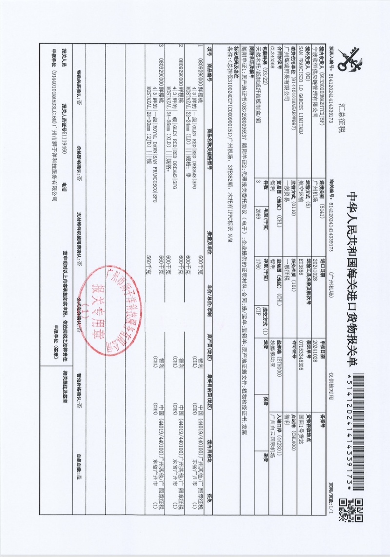 智利车厘子嘎嘎硬，枝头青绿，脆甜，品质保证