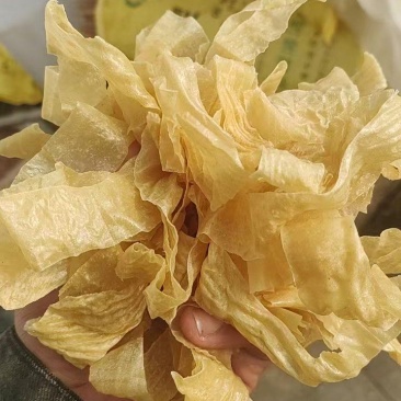 人造肉豆丝豆皮牛排