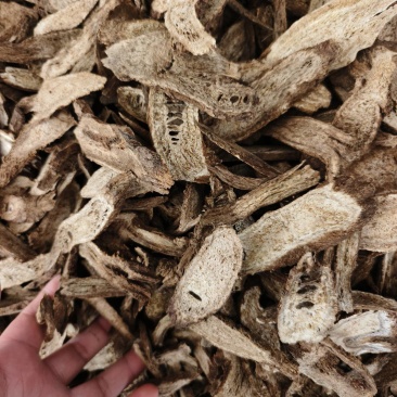 中药材木香云木香批发零售保证质量