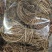 鸡骨草批发优质鸡骨草扎把鸡骨草量大价优