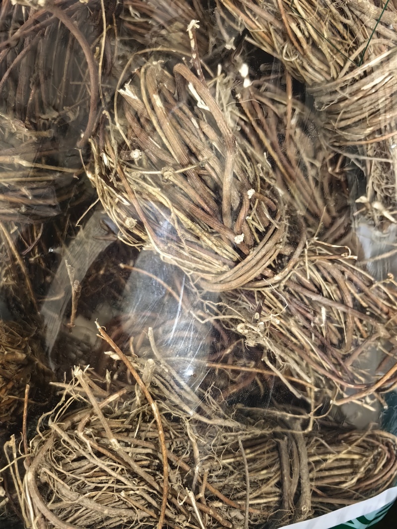 鸡骨草批发优质鸡骨草扎把鸡骨草量大价优