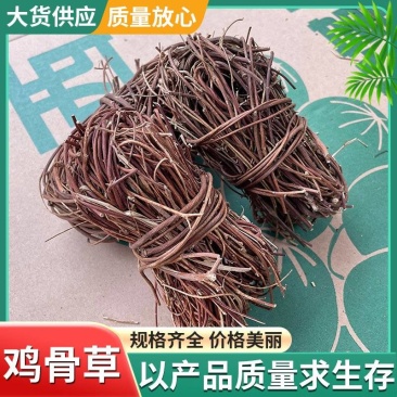 鸡骨草批发优质鸡骨草扎把鸡骨草量大价优