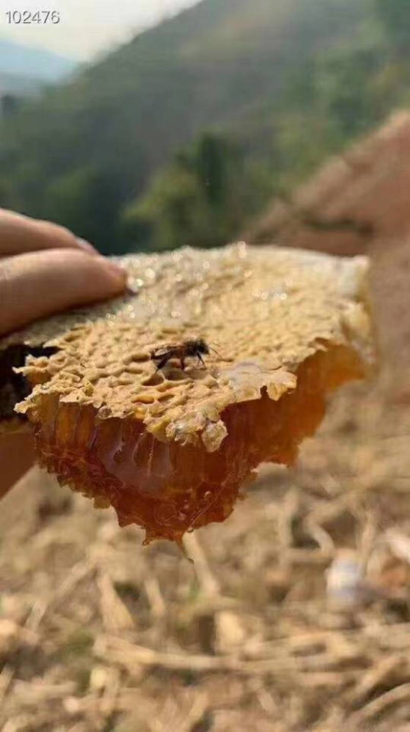 ***蜂蜜，来自普洱西盟佤族自治县中缅边境大山深处