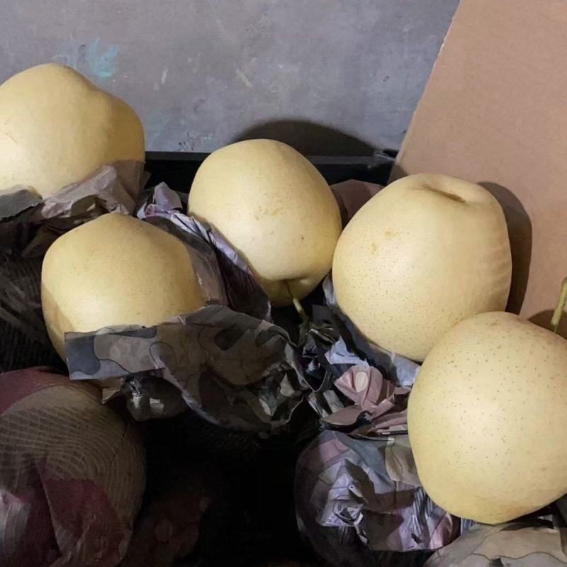 皇冠梨掉价一元二