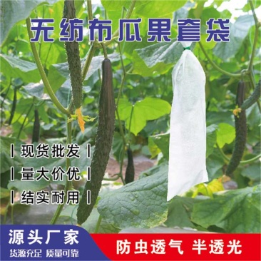 无纺布套袋阳光玫瑰青提套袋自带扎丝防鸟防雨水防虫透气遮光