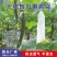 无纺布套袋阳光玫瑰青提套袋自带扎丝防鸟防雨水防虫透气遮光