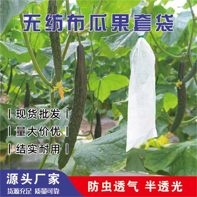 无纺布套袋阳光玫瑰青提套袋自带扎丝防鸟防雨水防虫透气遮光