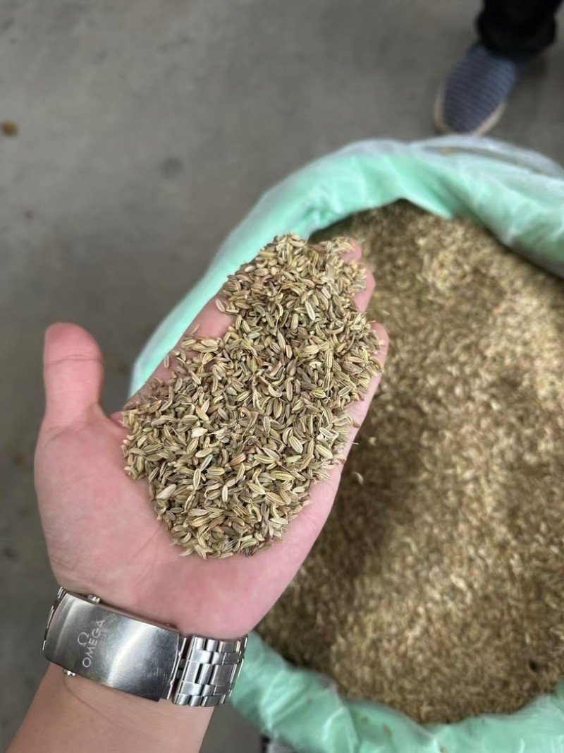 小茴香进口/国产/调味料/卤料/味道浓干净无杂质