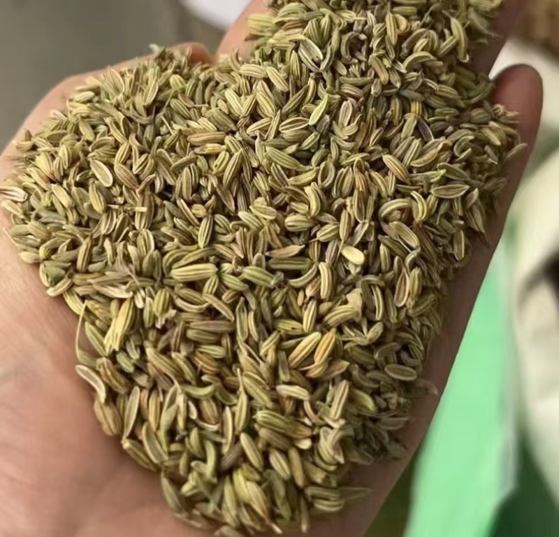 小茴香进口/国产/调味料/卤料/味道浓干净无杂质