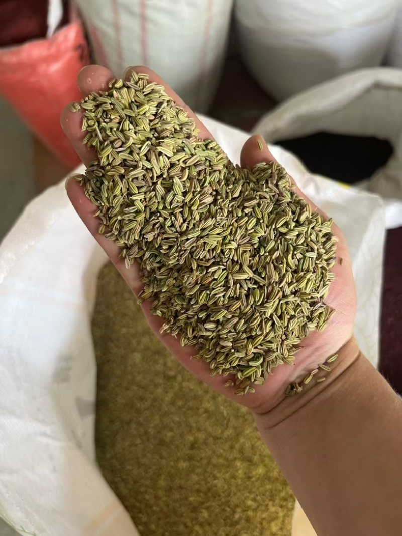 小茴香进口/国产/调味料/卤料/味道浓干净无杂质