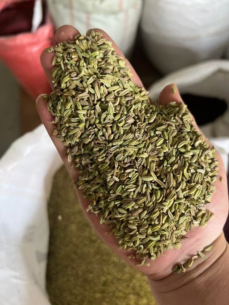 小茴香进口/国产/调味料/卤料/味道浓干净无杂质