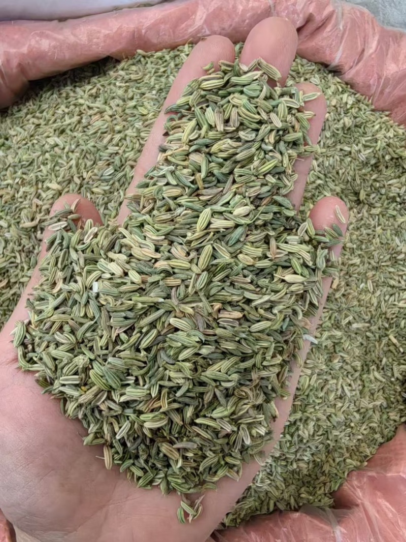 小茴香进口/国产/调味料/卤料/味道浓干净无杂质