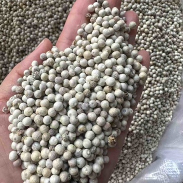 白胡椒/海南精品白胡椒/印尼大颗粒调味料,味浓