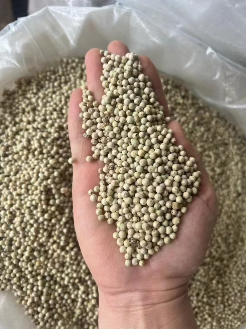 白胡椒/海南精品白胡椒/印尼大颗粒调味料,味浓