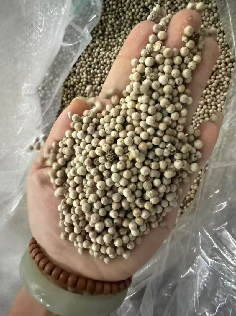 白胡椒/海南精品白胡椒/印尼大颗粒调味料,味浓