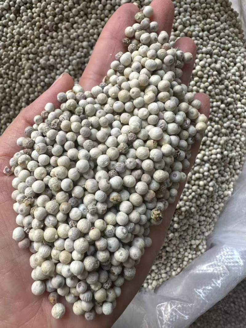 白胡椒/海南精品白胡椒/印尼大颗粒调味料,味浓