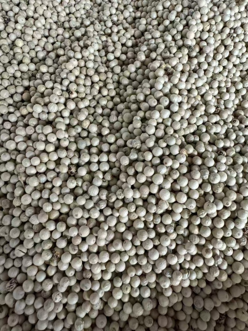 白胡椒/海南精品白胡椒/印尼大颗粒调味料,味浓