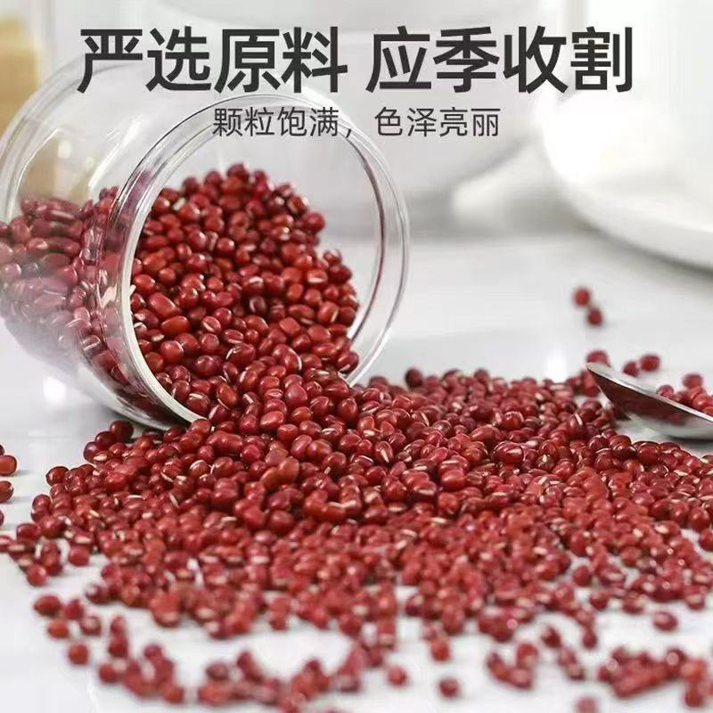 东北红豆红小豆一手货源基地直发货源充足欢迎订购