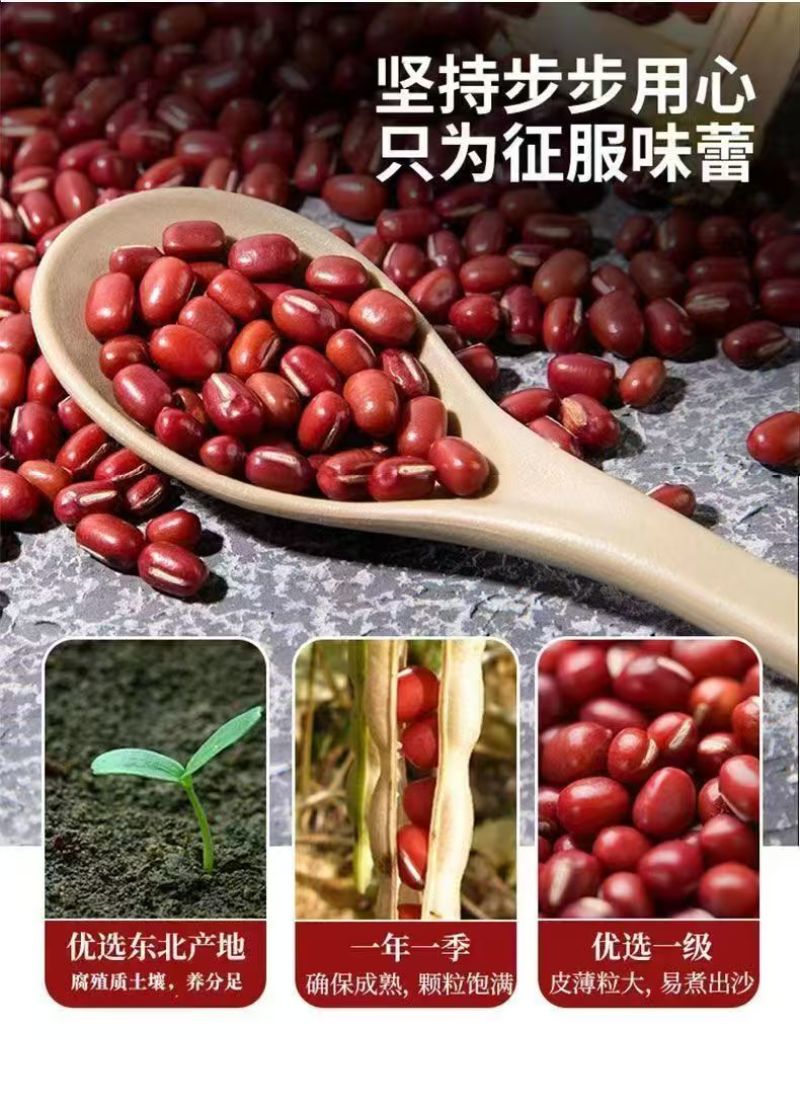 东北红豆红小豆一手货源基地直发货源充足欢迎订购